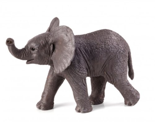 Африканский слон детёныш