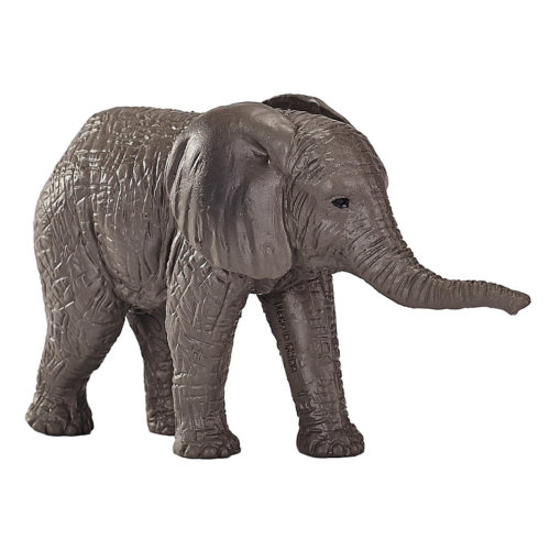 «Мир диких животных»:Семья слонов