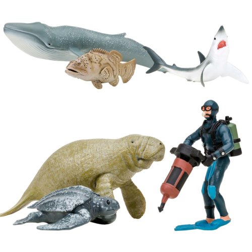 «Мир морских животных» Серый кит, ламантин, акула, кожистая черепаха, рыба групер, дайвер