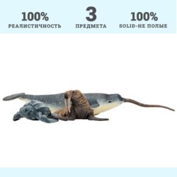 «Мир морских животных» Нарвал, кожистая черепаха, морж