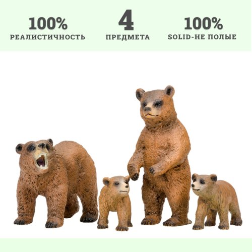 «Мир диких животных», Семья медведей