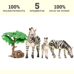 «Мир диких животных», Семья зебр