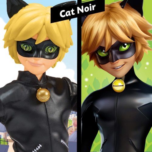Miraculous Cat Noir