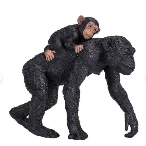 Шимпанзе с детенышем