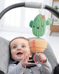 Skip Hop Baby Stroller Toy