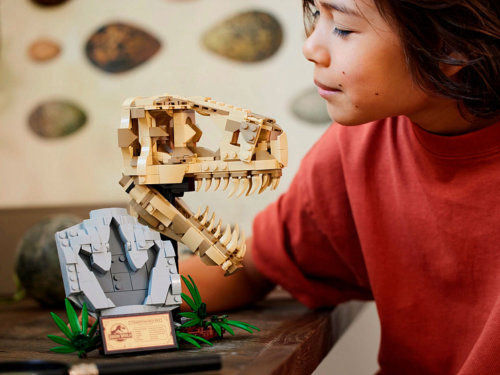 LEGO Jurassic World Окаменелости динозавров: череп Ти-Рекса 76964