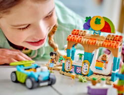 LEGO Friends Пляжная подставка для смузи 42625